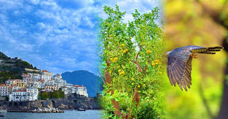 Landscape is DNA of the Location