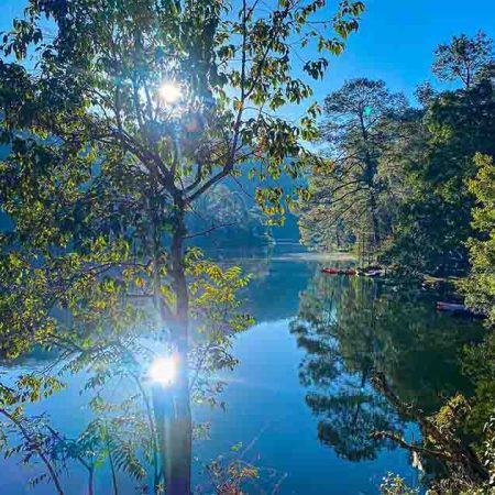 Sattal birdwatcher paradise